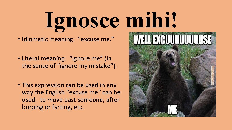 Ignosce mihi! • Idiomatic meaning: “excuse me. ” • Literal meaning: “ignore me” (in Ignosce mihi! • Idiomatic meaning: “excuse me. ” • Literal meaning: “ignore me” (in
