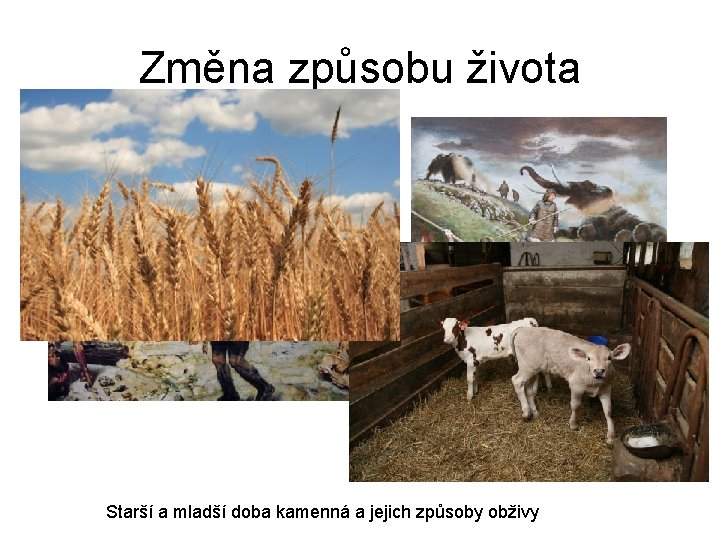 Změna způsobu života Starší a mladší doba kamenná a jejich způsoby obživy 