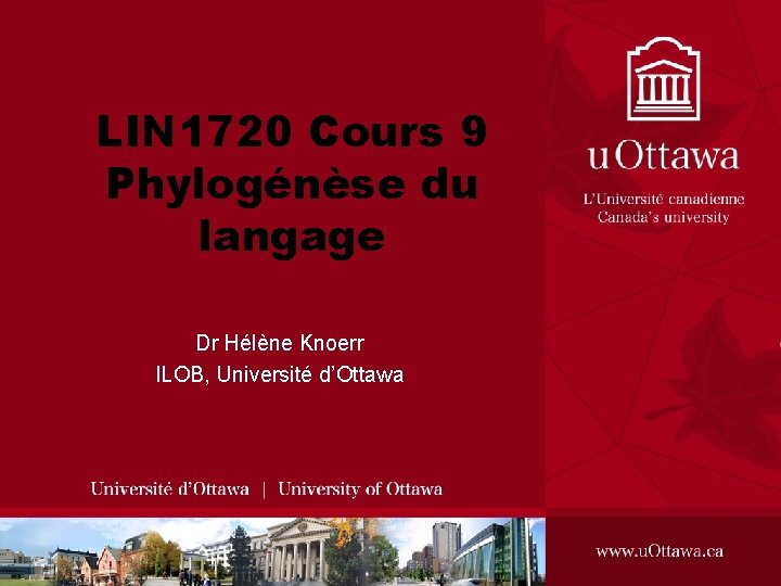 LIN 1720 Cours 9 Phylogénèse du langage Dr Hélène Knoerr ILOB, Université d’Ottawa 