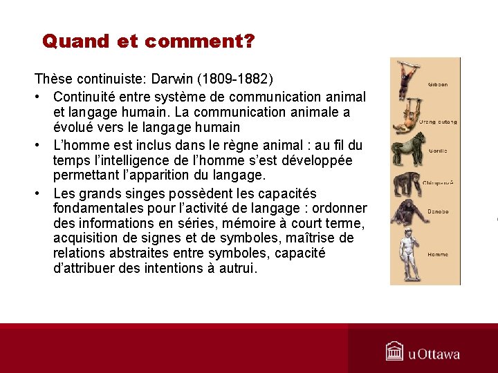 Quand et comment? Thèse continuiste: Darwin (1809 -1882) • Continuité entre système de communication