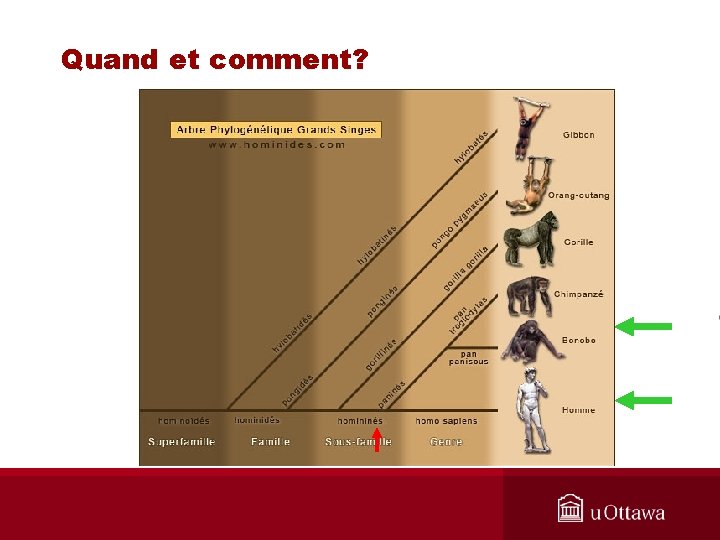 Quand et comment? 
