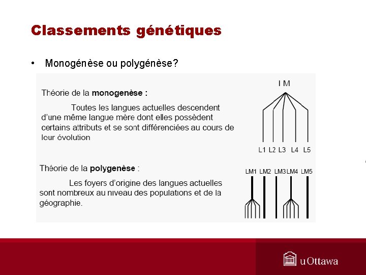 Classements génétiques • Monogénèse ou polygénèse? 