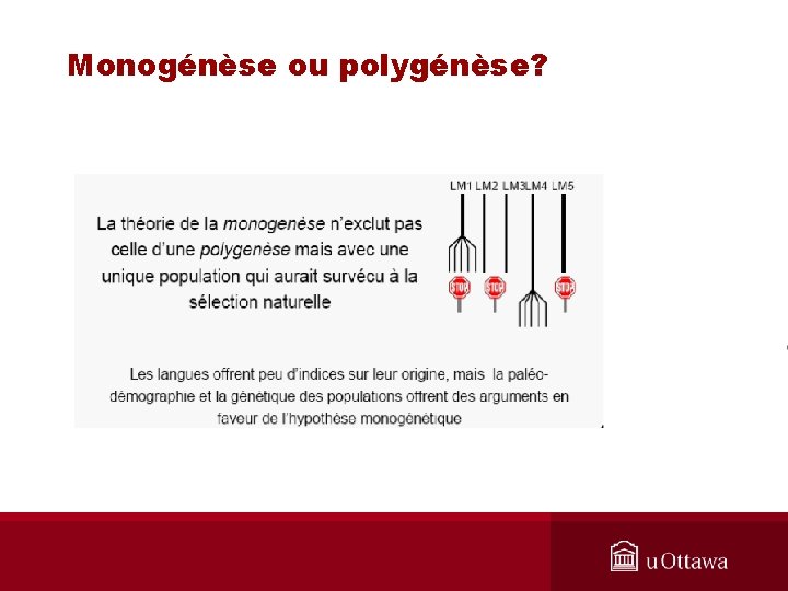 Monogénèse ou polygénèse? 