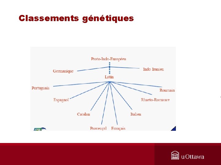 Classements génétiques 