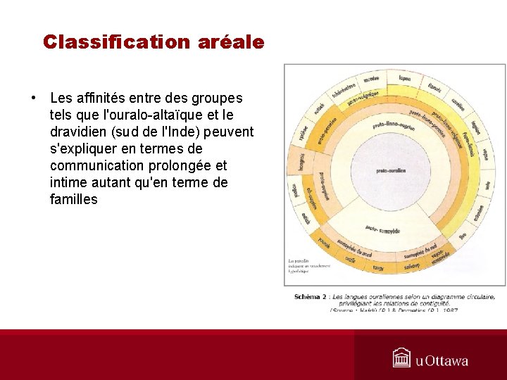 Classification aréale • Les affinités entre des groupes tels que l'ouralo-altaïque et le dravidien