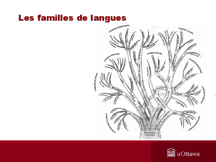 Les familles de langues 