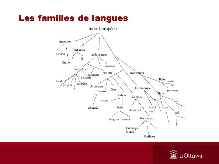 Les familles de langues 