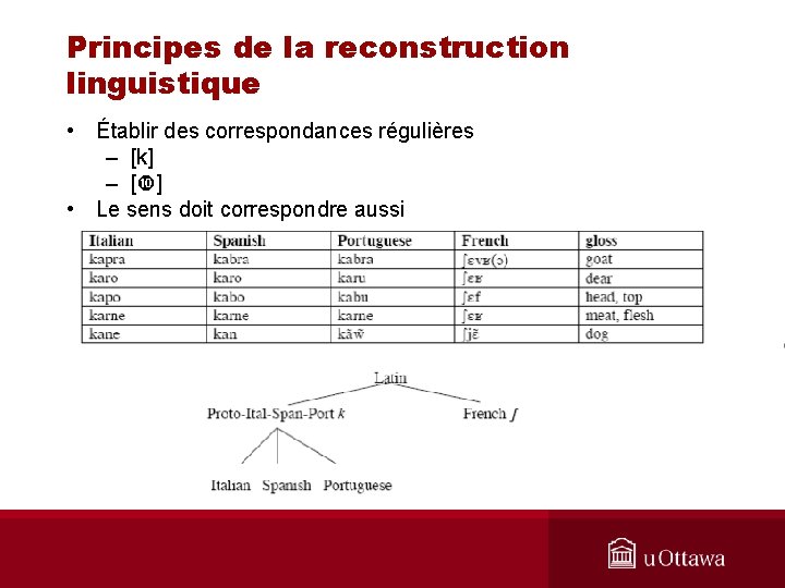 Principes de la reconstruction linguistique • Établir des correspondances régulières – [k] – [