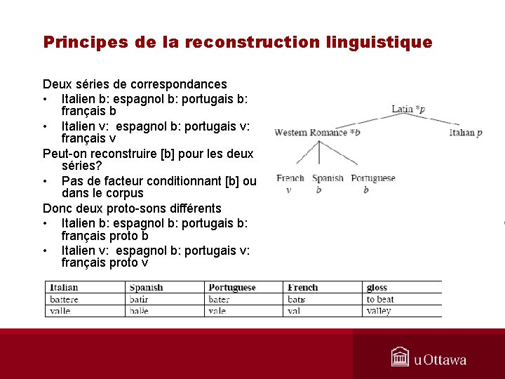 Principes de la reconstruction linguistique Deux séries de correspondances • Italien b: espagnol b: