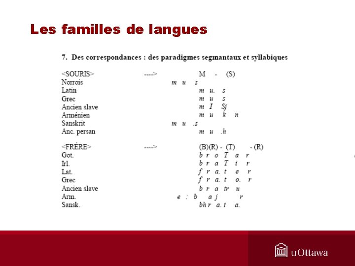 Les familles de langues 