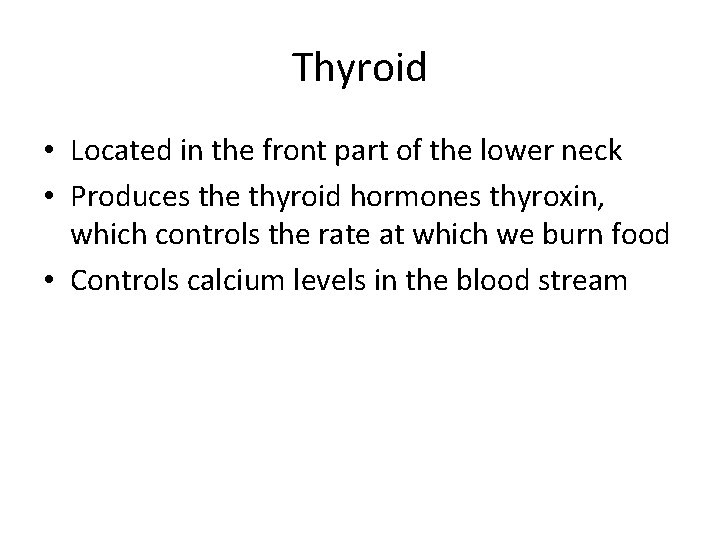 Thyroid • Located in the front part of the lower neck • Produces the