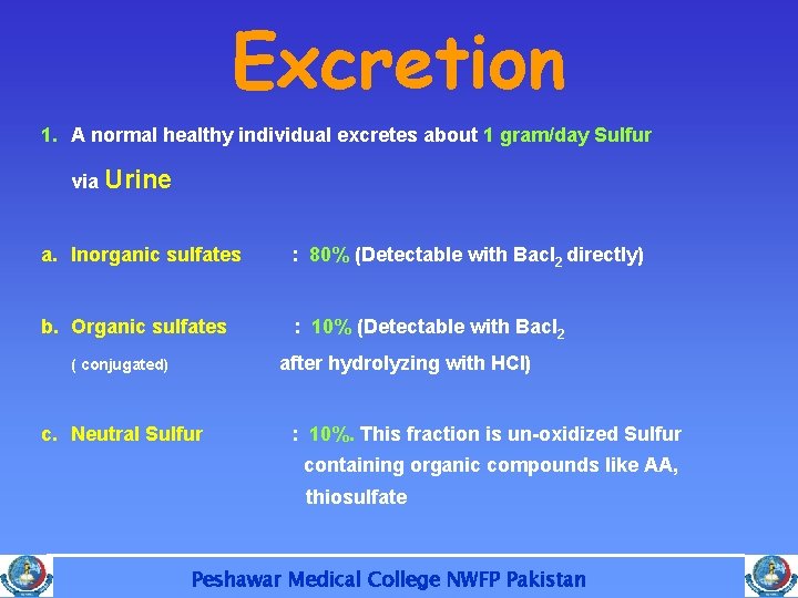 Excretion 1. A normal healthy individual excretes about 1 gram/day Sulfur via Urine a.