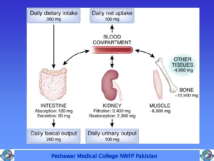 Peshawar Medical College NWFP Pakistan 