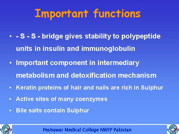 Important functions • - S - bridge gives stability to polypeptide units in insulin