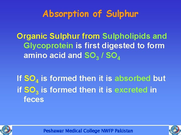 Absorption of Sulphur Organic Sulphur from Sulpholipids and Glycoprotein is first digested to form