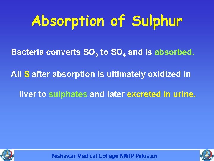 Absorption of Sulphur Bacteria converts SO 3 to SO 4 and is absorbed. All