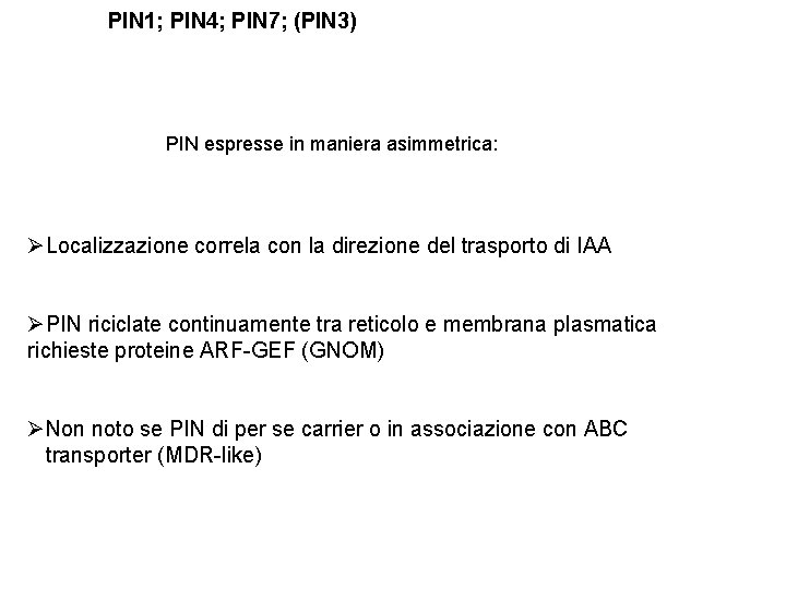 PIN 1; PIN 4; PIN 7; (PIN 3) PIN espresse in maniera asimmetrica: ØLocalizzazione