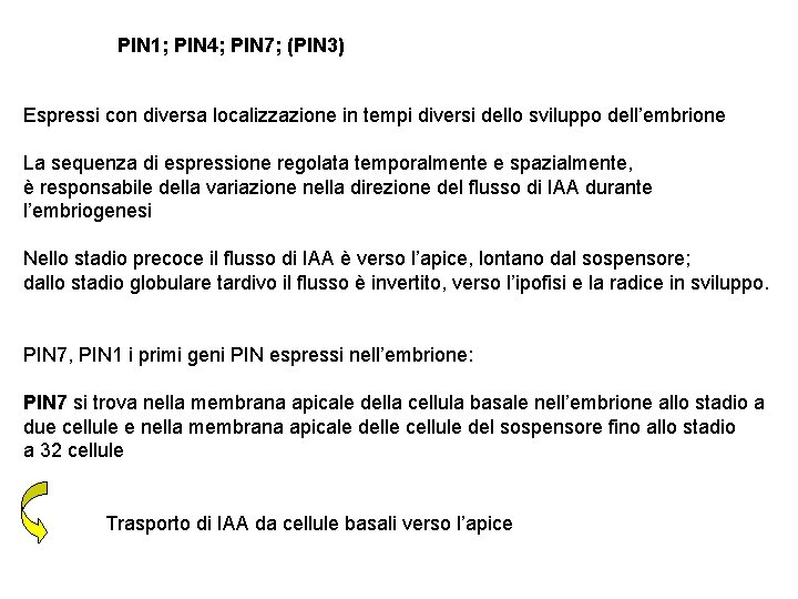 PIN 1; PIN 4; PIN 7; (PIN 3) Espressi con diversa localizzazione in tempi