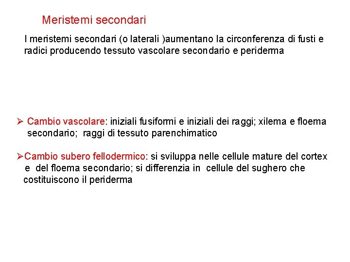 Meristemi secondari I meristemi secondari (o laterali )aumentano la circonferenza di fusti e radici