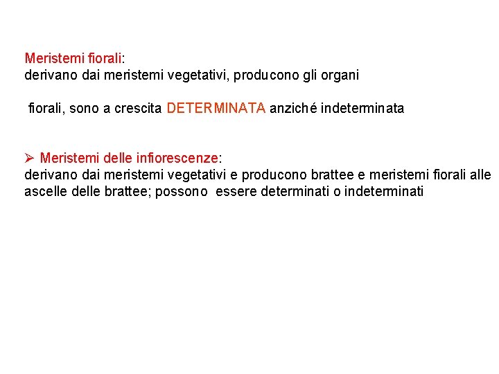 Meristemi fiorali: derivano dai meristemi vegetativi, producono gli organi fiorali, sono a crescita DETERMINATA