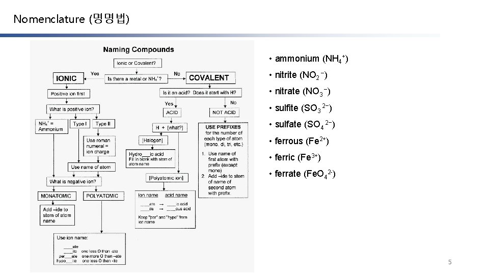 Nomenclature (명명법) • ammonium (NH 4+) • nitrite (NO 2 −) • nitrate (NO