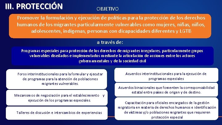 III. PROTECCIÓN OBJETIVO Promover la formulación y ejecución de políticas para la protección de