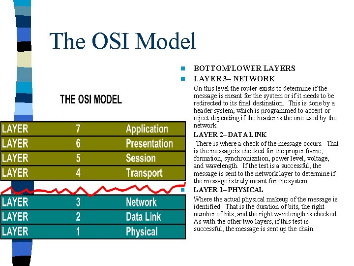 The OSI Model n n BOTTOM/LOWER LAYERS LAYER 3– NETWORK On this level the