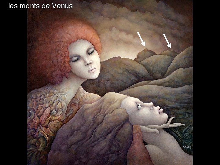 les monts de Vénus 