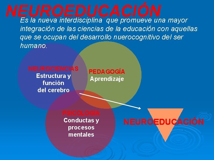 NEUROEDUCACIÓN Es la nueva interdisciplina que promueve una mayor integración de las ciencias de NEUROEDUCACIÓN Es la nueva interdisciplina que promueve una mayor integración de las ciencias de