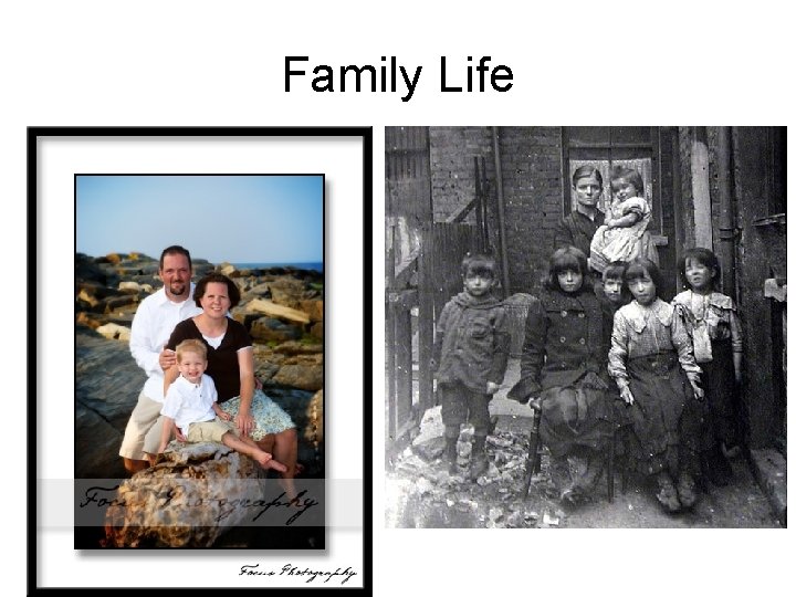 Family Life Family Life