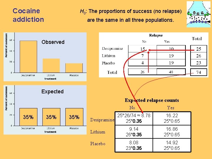Cocaine addiction H 0: The proportions of success (no relapse) are the same in
