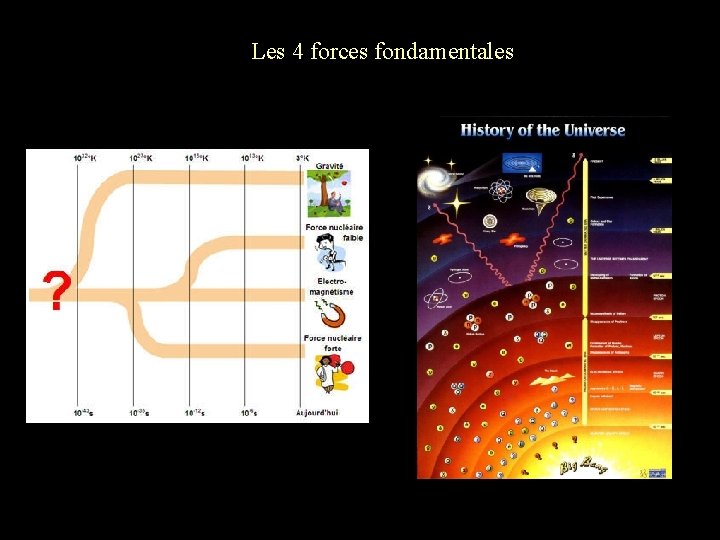 Les 4 forces fondamentales 
