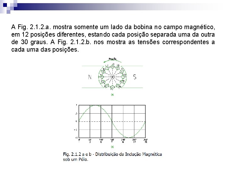 A Fig. 2. 1. 2. a. mostra somente um lado da bobina no campo