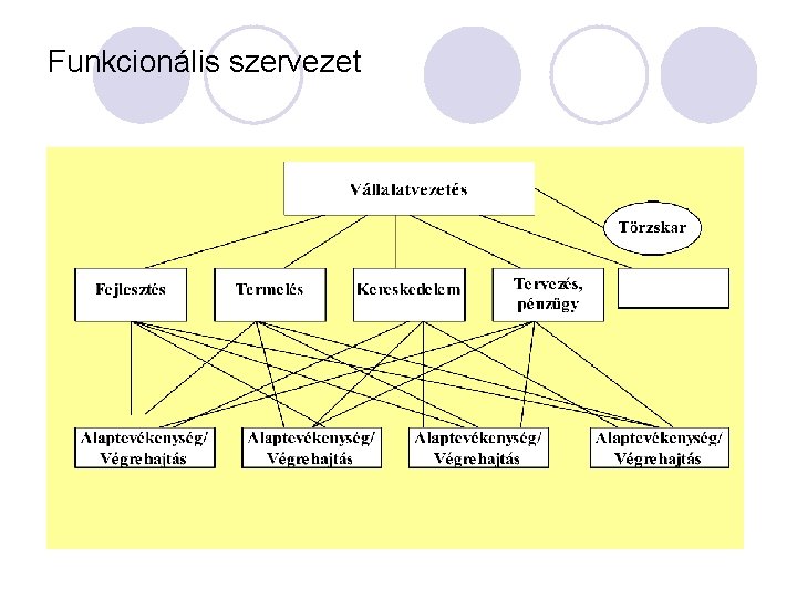 Funkcionális szervezet 