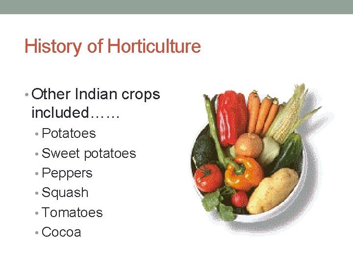History of Horticulture • Other Indian crops included…… • Potatoes • Sweet potatoes •
