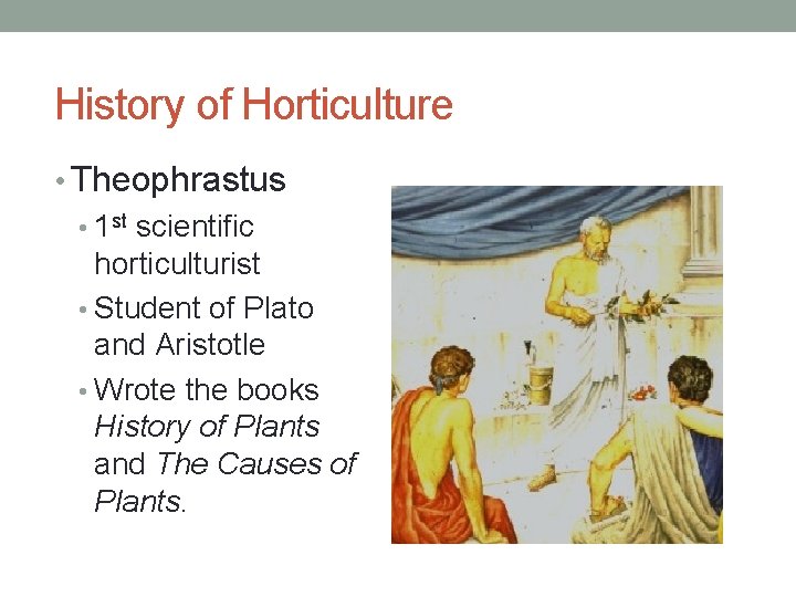 History of Horticulture • Theophrastus • 1 st scientific horticulturist • Student of Plato