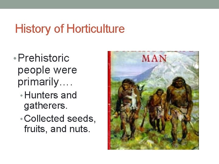 History of Horticulture • Prehistoric people were primarily…. • Hunters and gatherers. • Collected