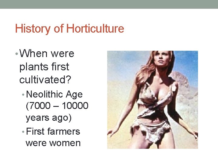 History of Horticulture • When were plants first cultivated? • Neolithic Age (7000 –