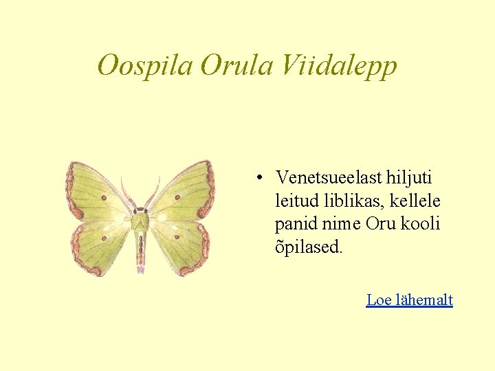 Oospila Orula Viidalepp • Venetsueelast hiljuti leitud liblikas, kellele panid nime Oru kooli õpilased.