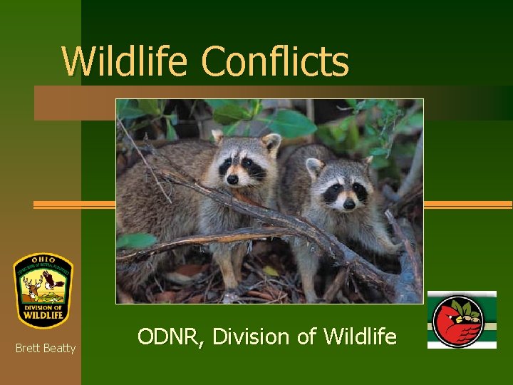 Wildlife Conflicts Brett Beatty ODNR, Division of Wildlife 