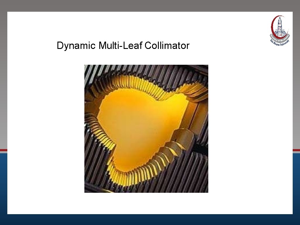 Dynamic Multi-Leaf Collimator 