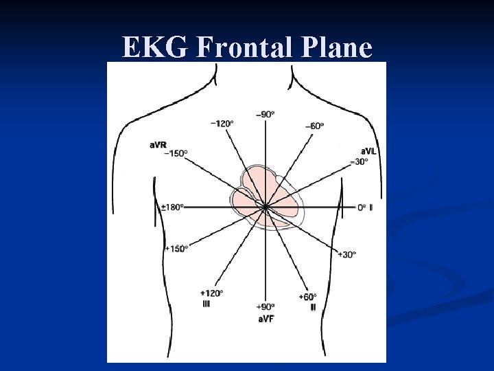 EKG Frontal Plane 