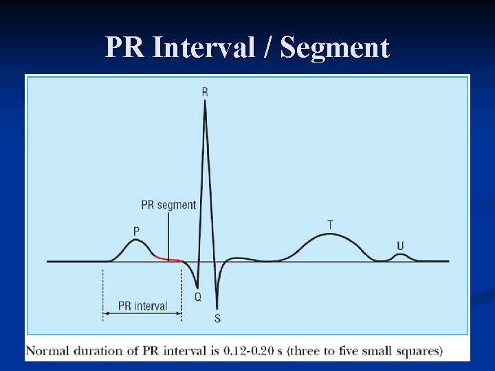 PR Interval / Segment 