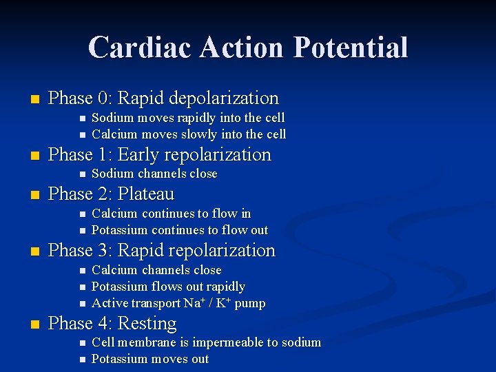 Cardiac Action Potential n Phase 0: Rapid depolarization n Phase 1: Early repolarization n