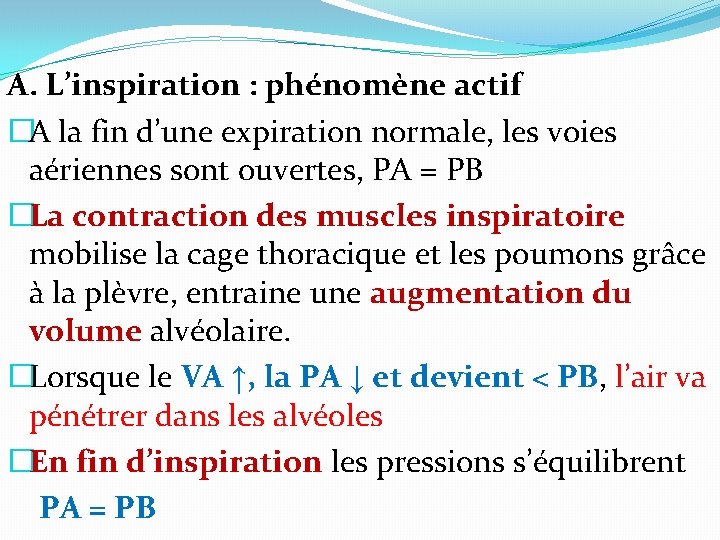 A. L’inspiration : phénomène actif �A la fin d’une expiration normale, les voies aériennes A. L’inspiration : phénomène actif �A la fin d’une expiration normale, les voies aériennes