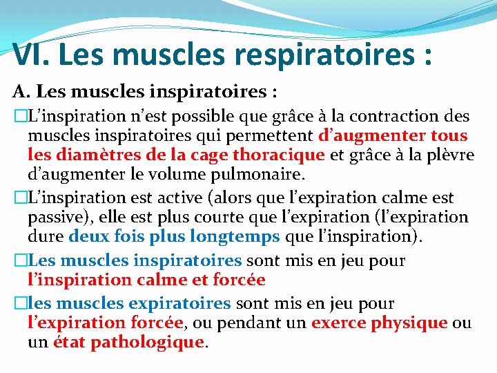 VI. Les muscles respiratoires : A. Les muscles inspiratoires : �L’inspiration n’est possible que VI. Les muscles respiratoires : A. Les muscles inspiratoires : �L’inspiration n’est possible que
