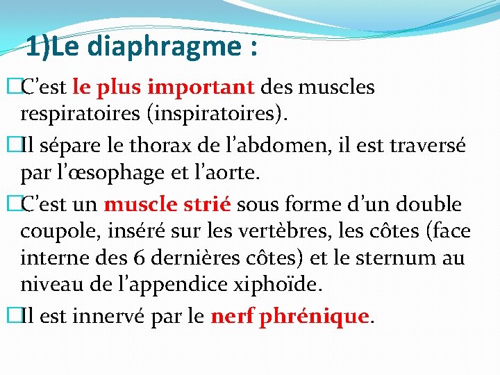 1)Le diaphragme : �C’est le plus important des muscles respiratoires (inspiratoires). �Il sépare le 1)Le diaphragme : �C’est le plus important des muscles respiratoires (inspiratoires). �Il sépare le