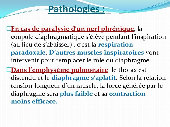 Pathologies : �En cas de paralysie d’un nerf phrénique, la coupole diaphragmatique s’élève pendant Pathologies : �En cas de paralysie d’un nerf phrénique, la coupole diaphragmatique s’élève pendant
