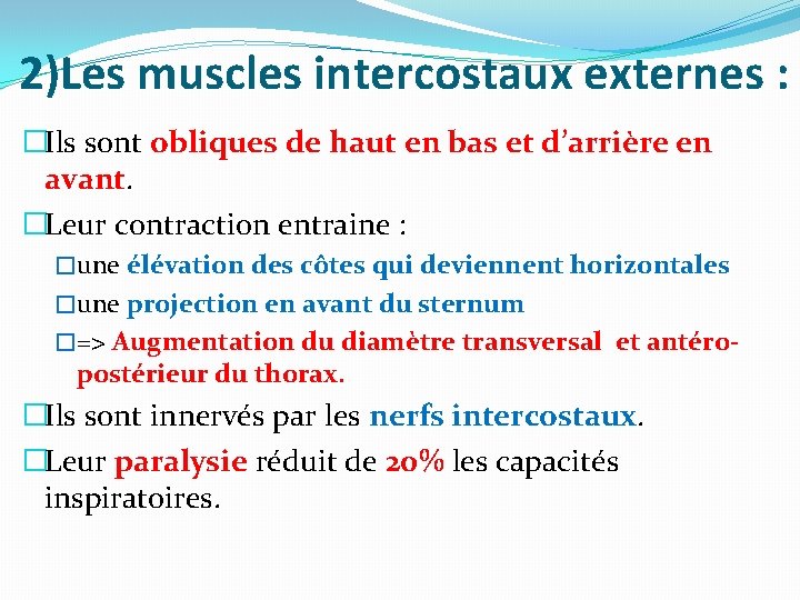 2)Les muscles intercostaux externes : �Ils sont obliques de haut en bas et d’arrière 2)Les muscles intercostaux externes : �Ils sont obliques de haut en bas et d’arrière