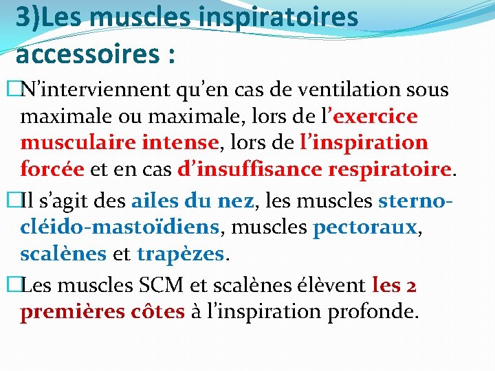 3)Les muscles inspiratoires accessoires : �N’interviennent qu’en cas de ventilation sous maximale ou maximale, 3)Les muscles inspiratoires accessoires : �N’interviennent qu’en cas de ventilation sous maximale ou maximale,